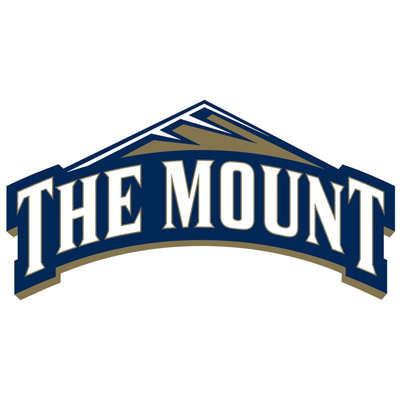 Mount St. Marys Mountaineers iron ons